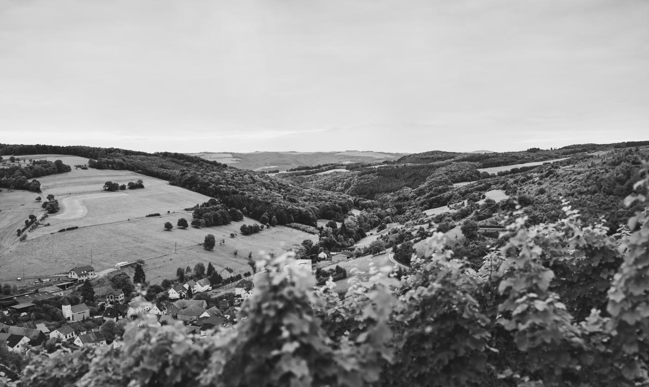 Weingut Hees - Landgasthof Zum Jaeger Aus Kurpfalz Auen Exterior photo